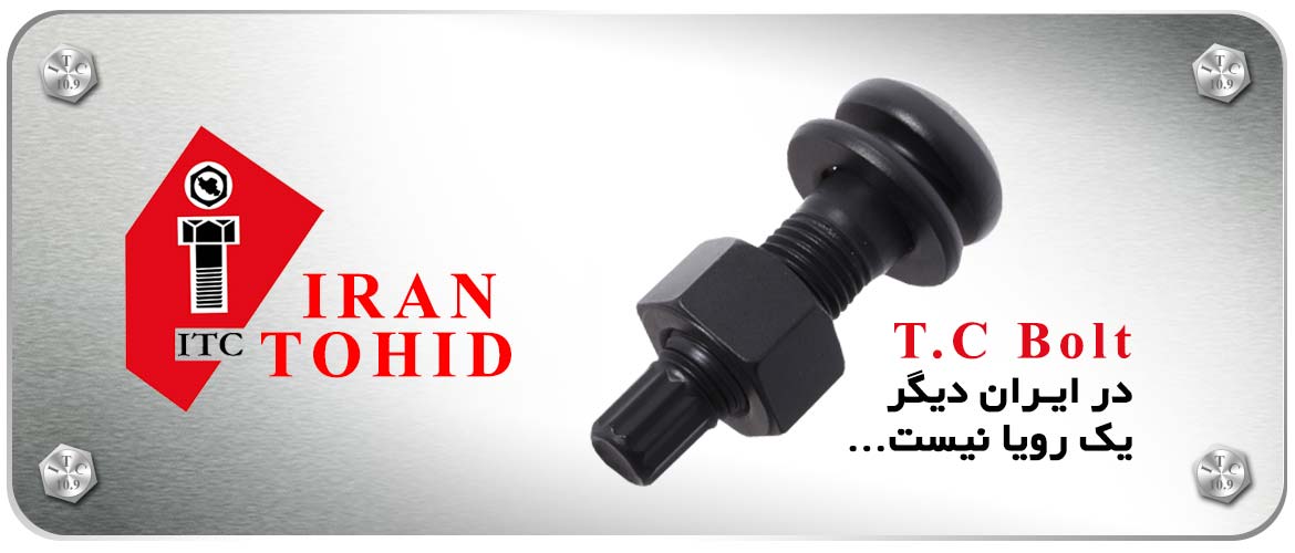 iran-tohid-1170-500px-22